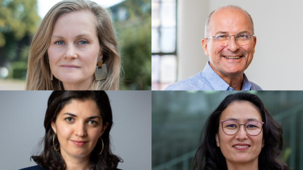 Raad van Commissarissen per 2026